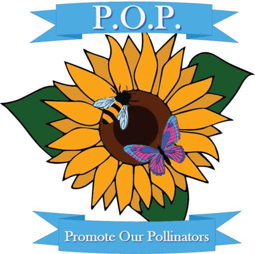 P.O.P. | Promote Our Pollinators